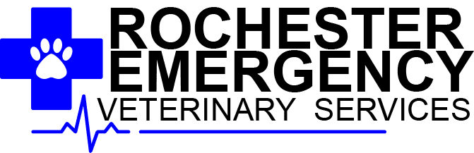 Logo for Rochester Emergency Veterinary Services featuring a blue medical cross with a white paw print, bold black text, and a blue heartbeat line beneath the words "Veterinary Services.